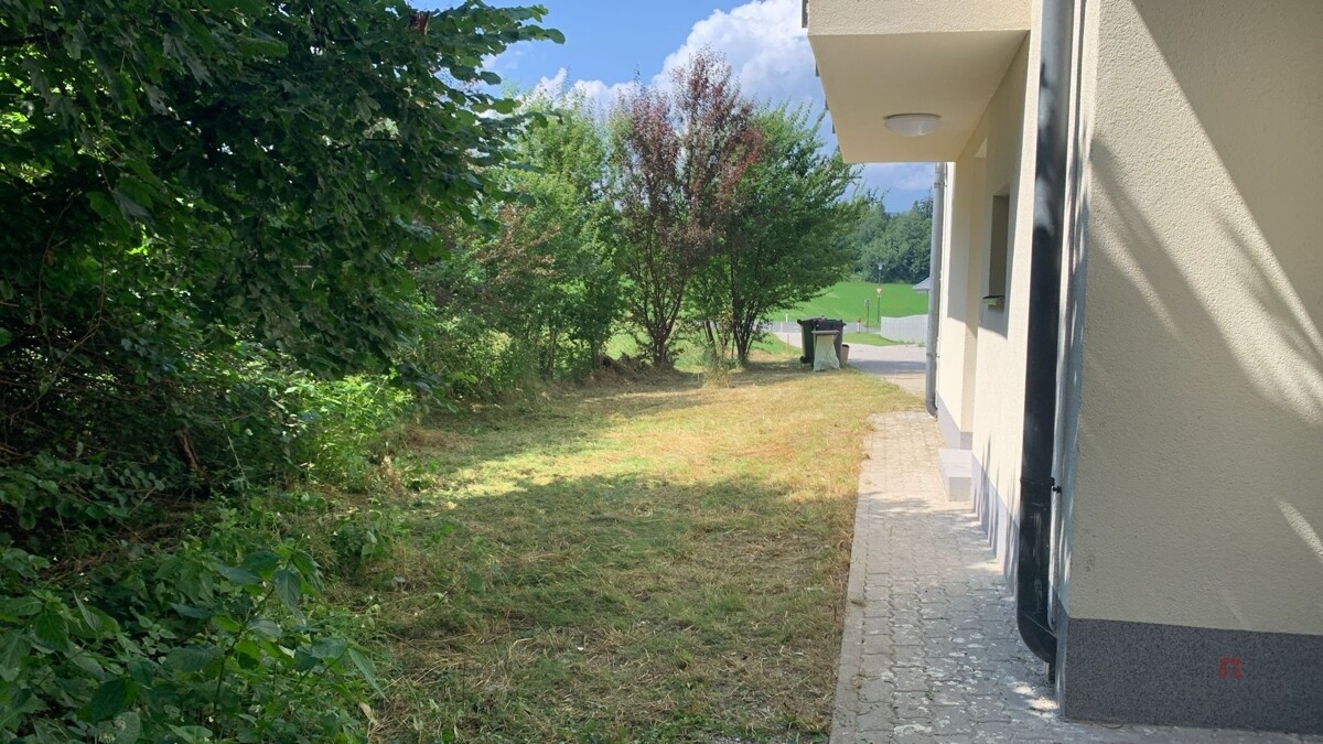 WhatsApp Image 2026-01-20 at 21.49.17