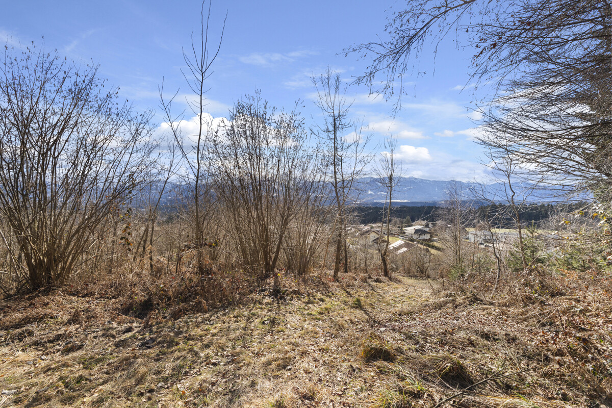 Baugrundstück Wernberg