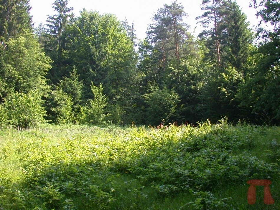 Immobilienbild