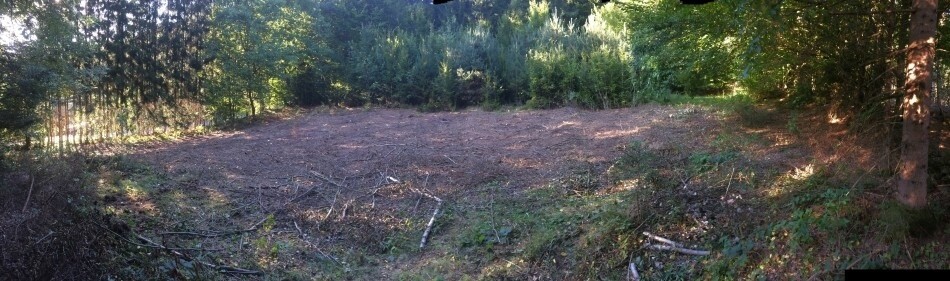 Immobilienbild