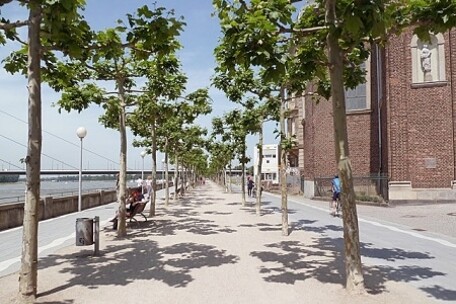 Rheinpromenade