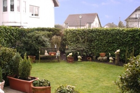 Winter-Garten ohne Schnee