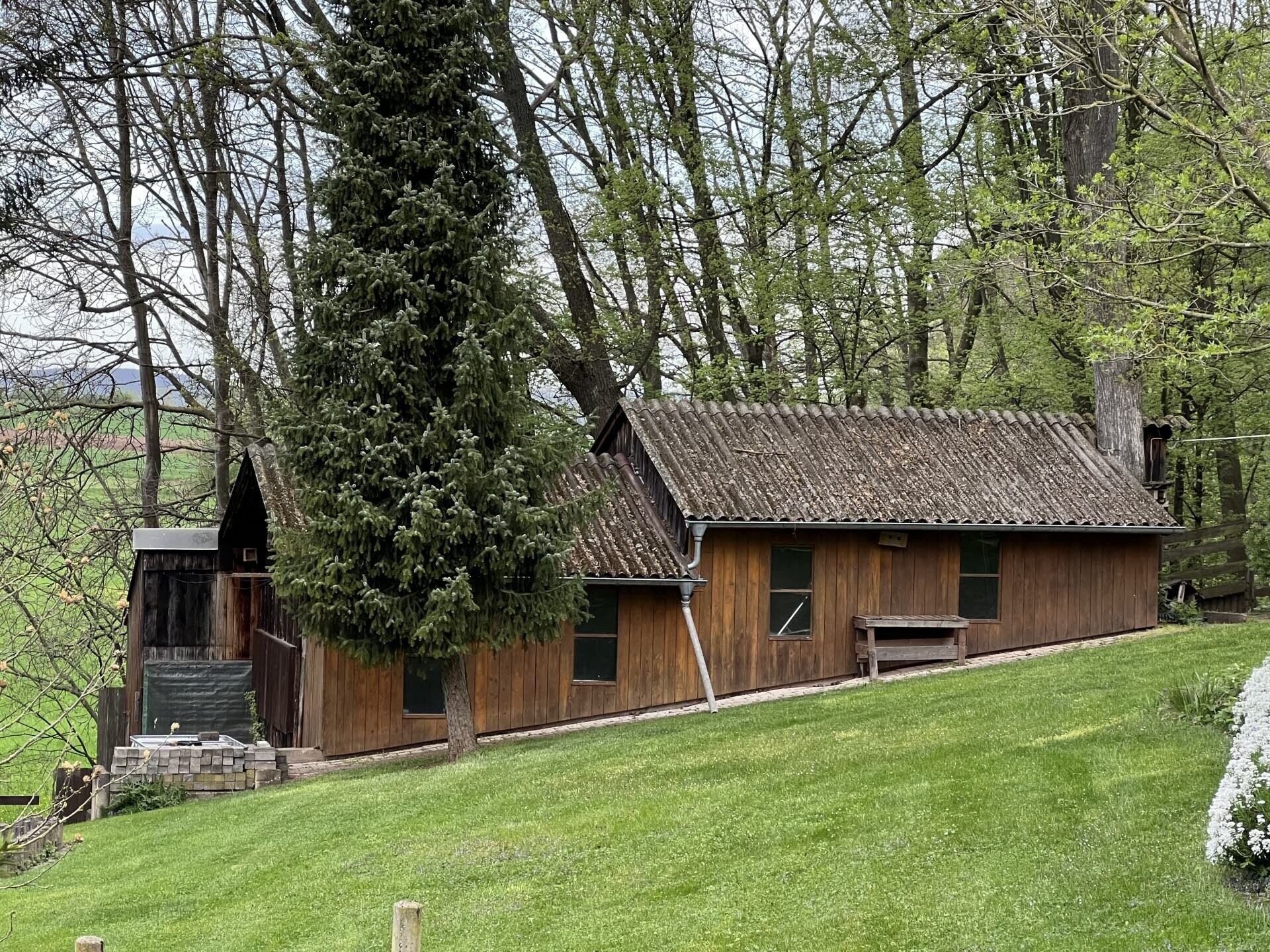 Immobilienbild