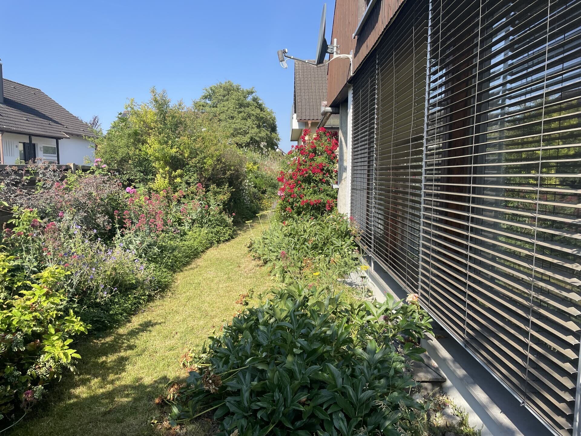 Immobilienbild