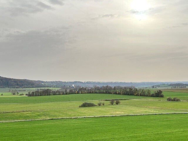 Immobilienbild