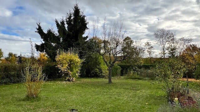 Immobilienbild