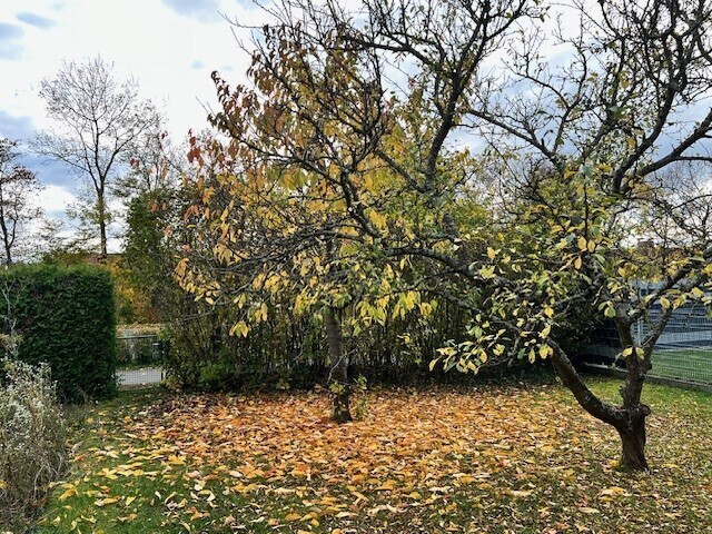 Immobilienbild