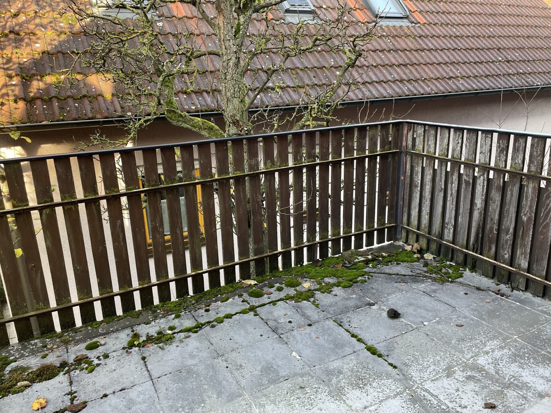 Immobilienbild