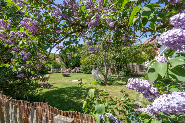 Gartenidylle 