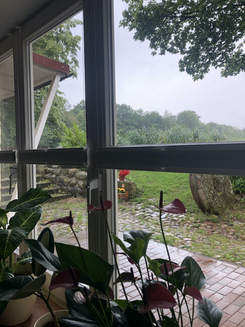 Aussicht Rückseite der Mühle