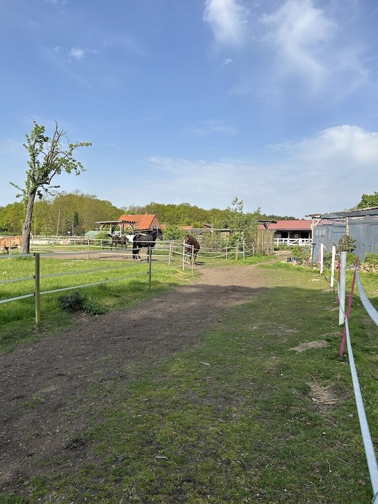 Weideflächen und Trail