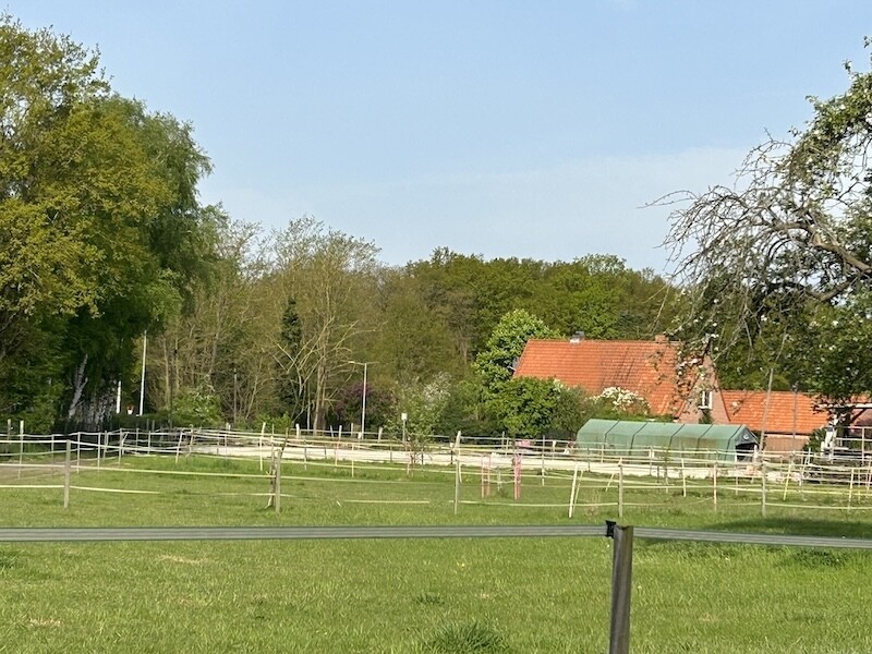 Blick auf den Reitplatz über die Weideflächen