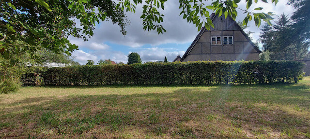 Blick vom seitlichen Garten auf das Haus