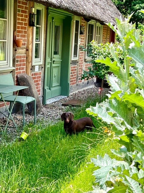 Idylle pur....auch der Dackel fühlt sich wohl