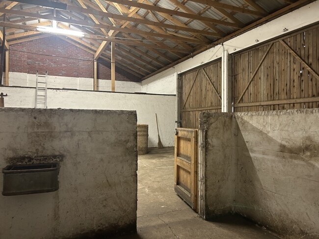 Halle mit Stallboxen