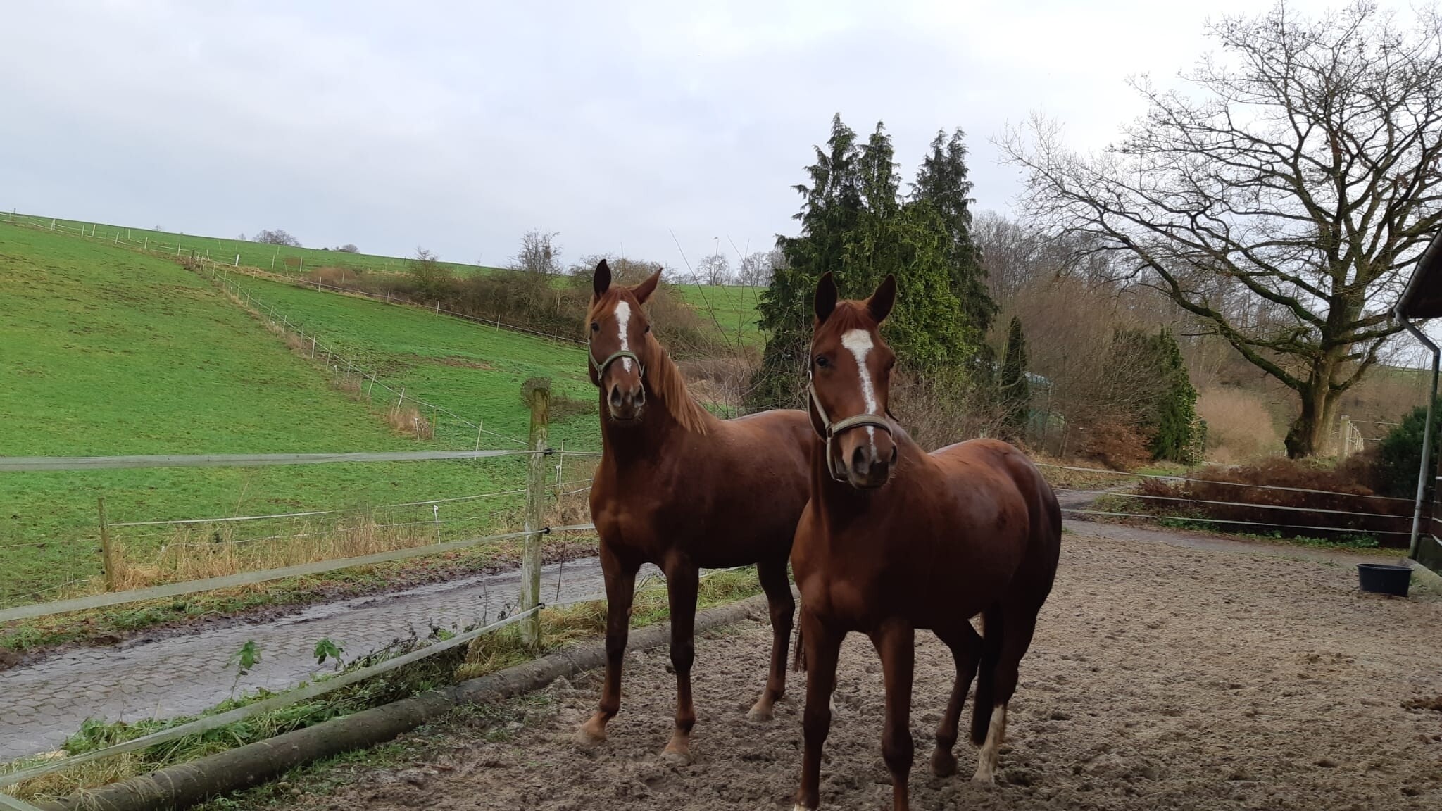 Hofanlage in Alleinlage