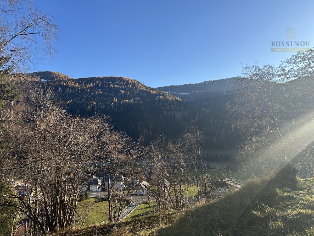 Ausblick