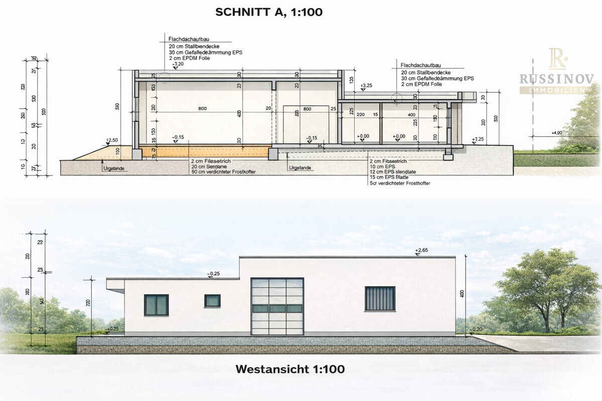Schnitt 1