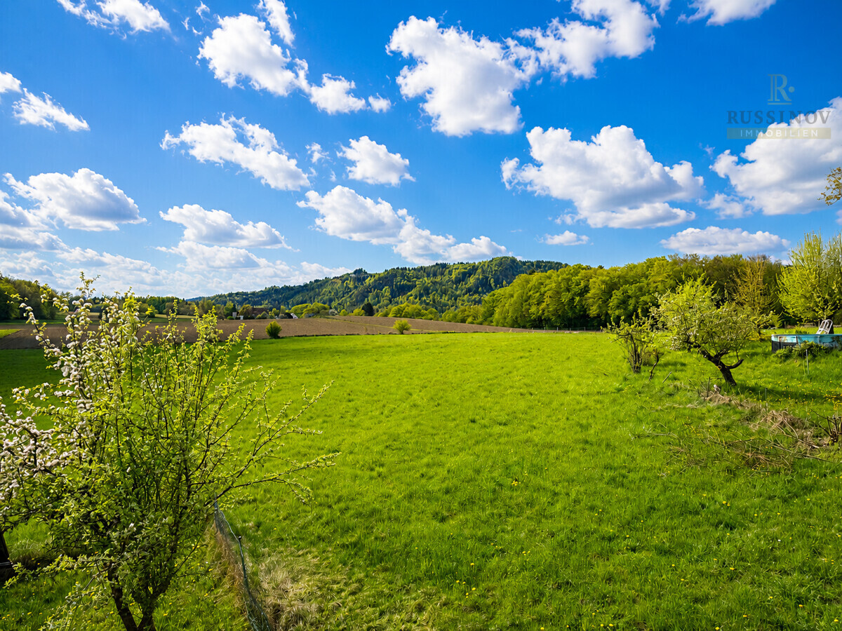 Aussicht_West