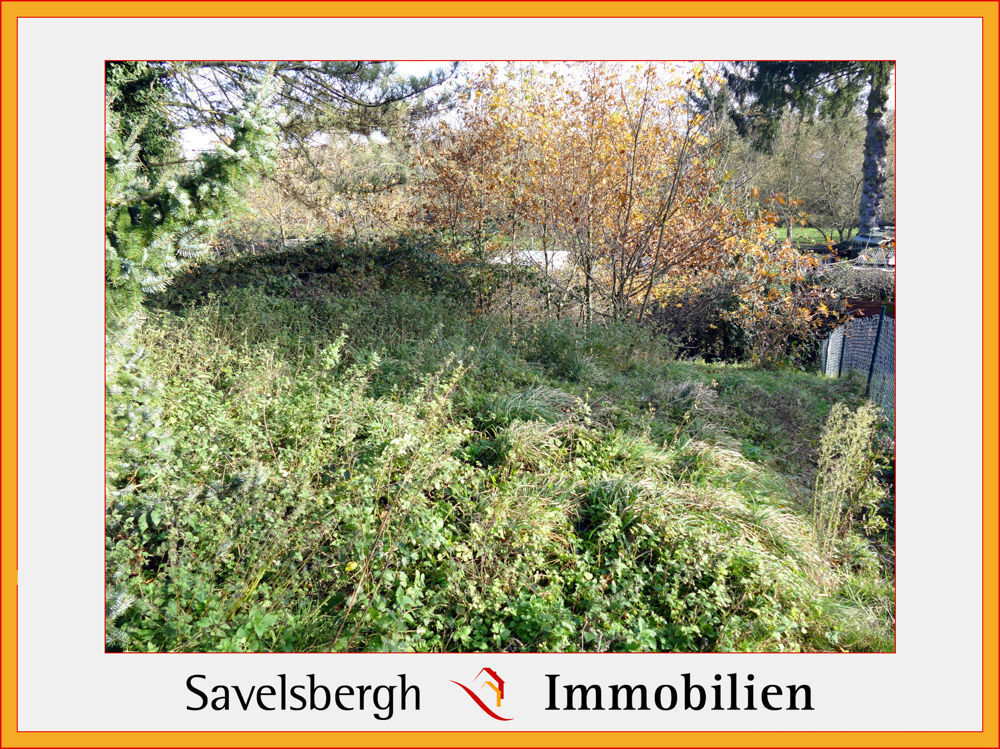 hinterer Garten