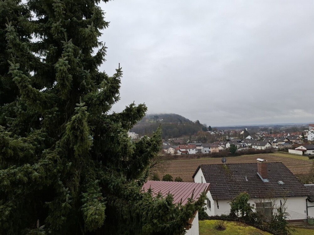 Aussicht auf Bogenberg