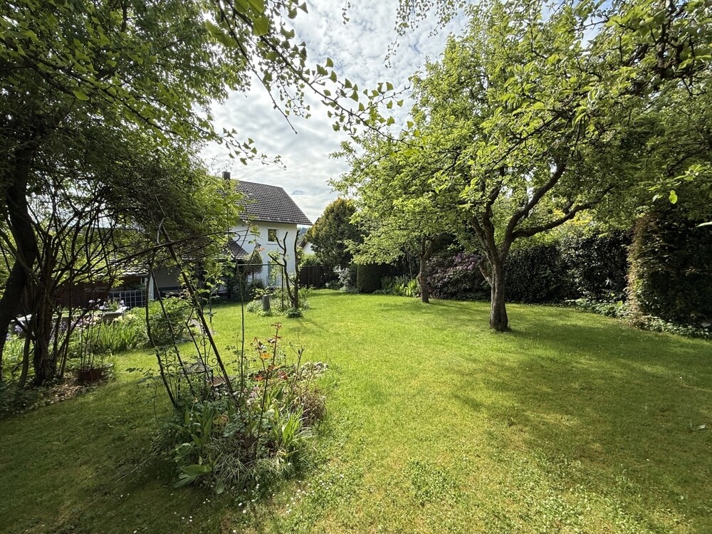Immobilienbild