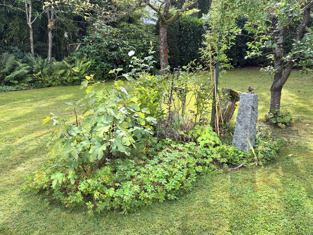 Immobilienbild