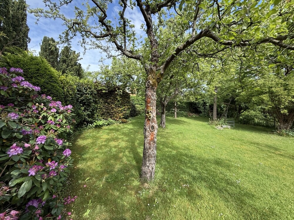 Immobilienbild