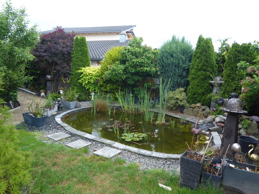 Immobilienbild