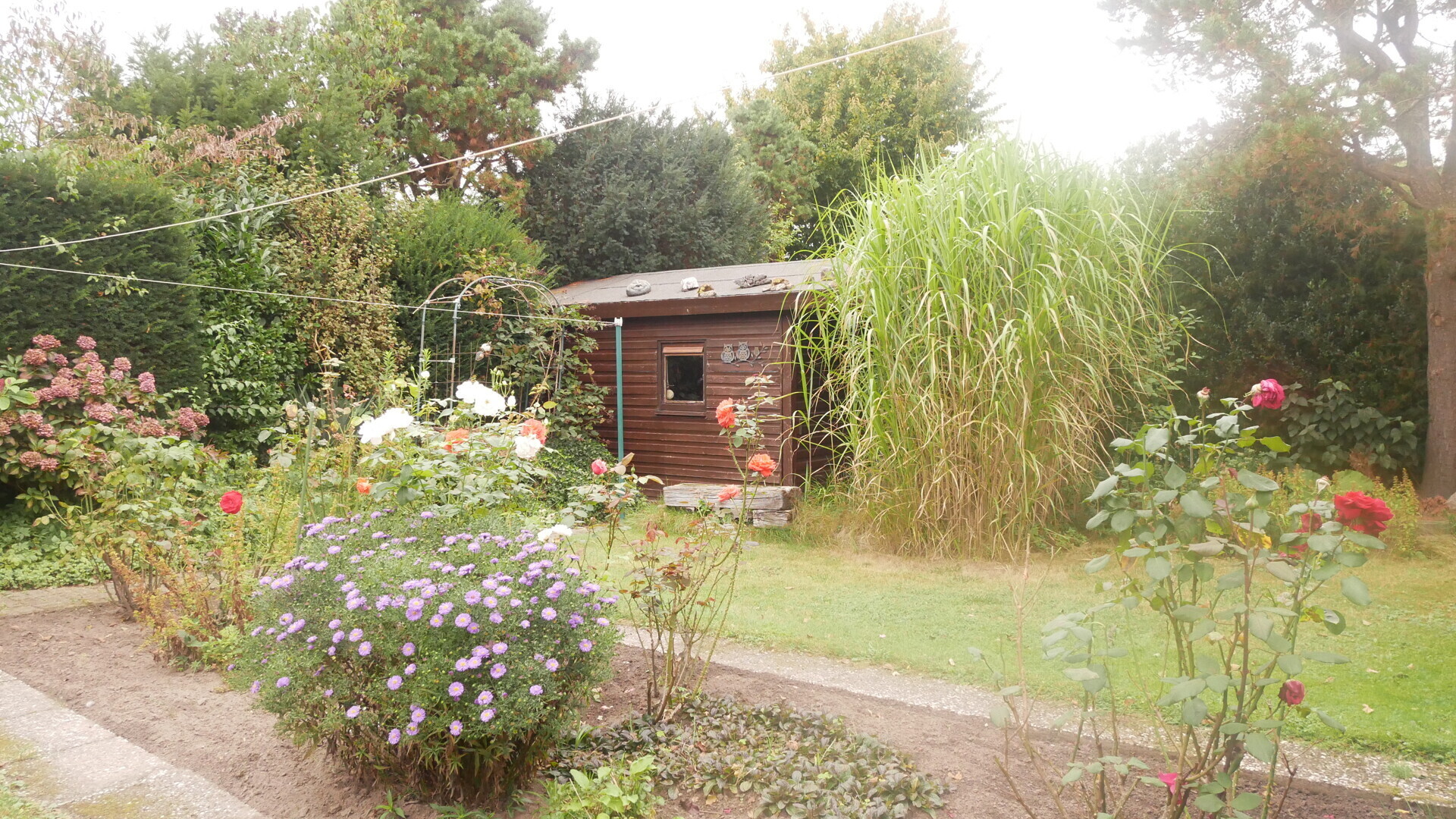Garten mit Gartenhaus