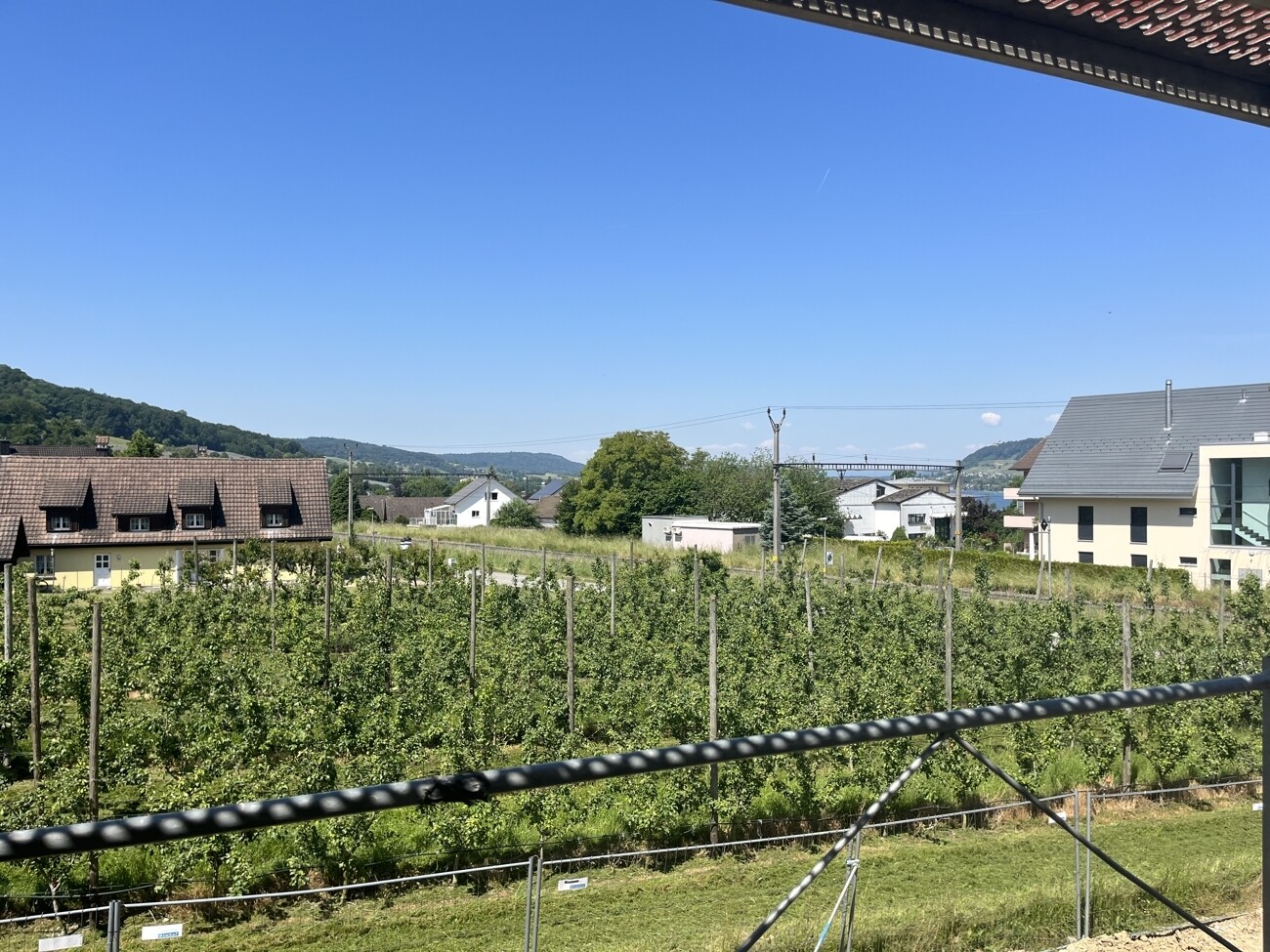 Aussicht 1. OG