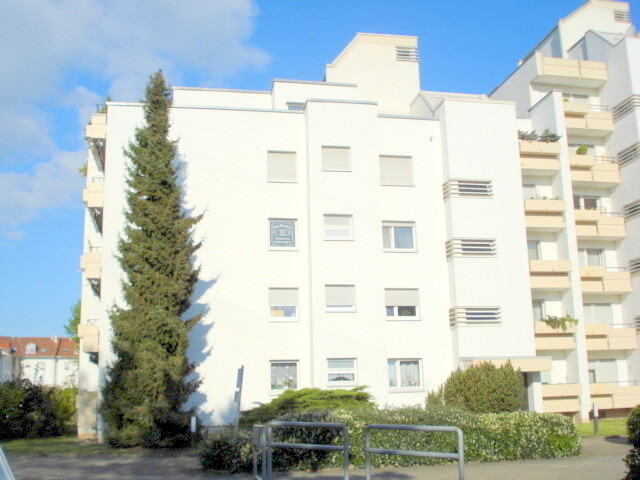 DSC04798