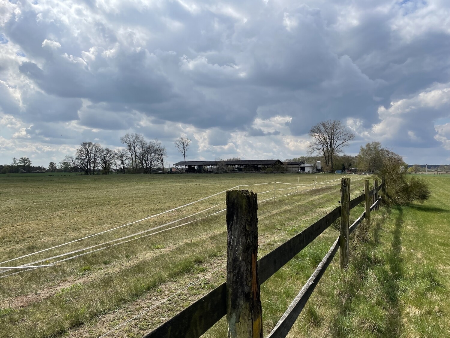 Arrondierter Grünlandbetrieb mit Hofstelle, ca. 72 ha
