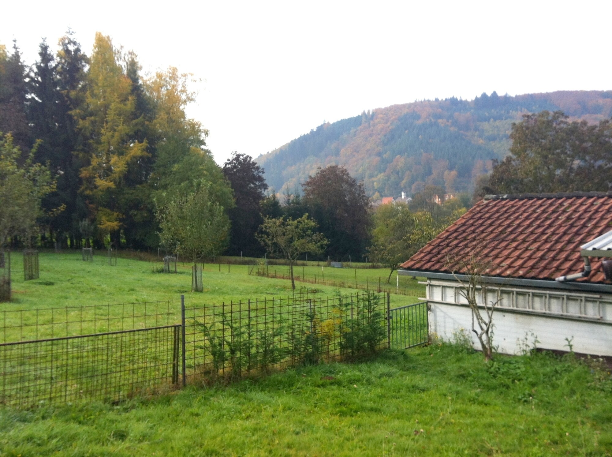 Grundstück
