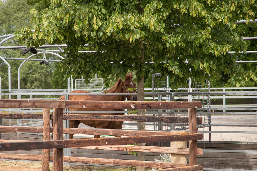 Exklusives Gutsensemble mit Reitanlage