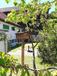 Garten1