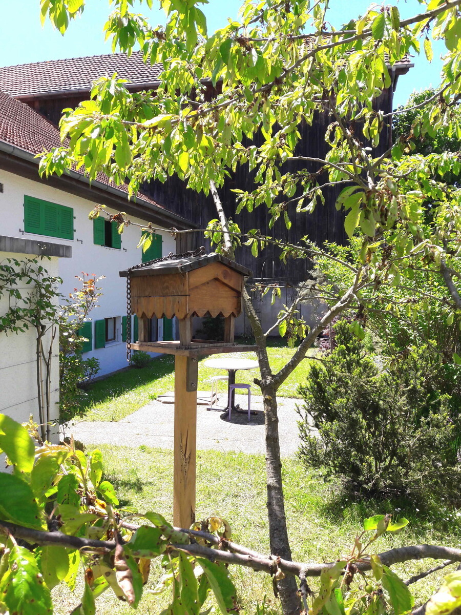 Garten1