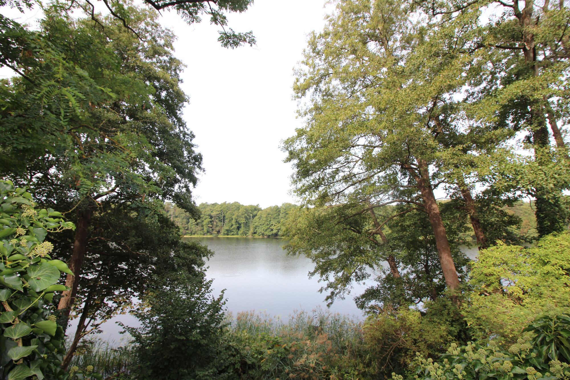 Seeblick 1