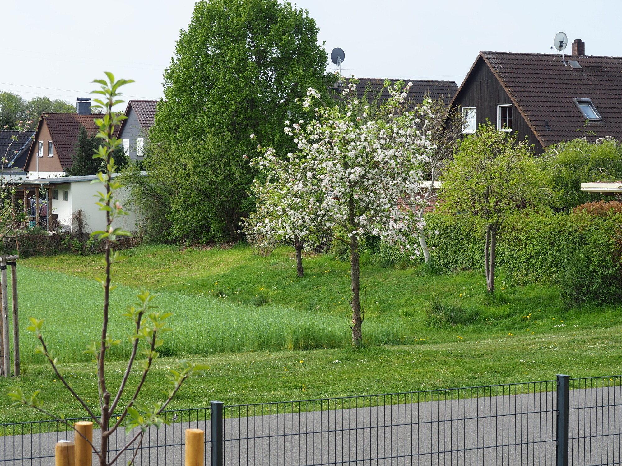 Frühlingsimpression