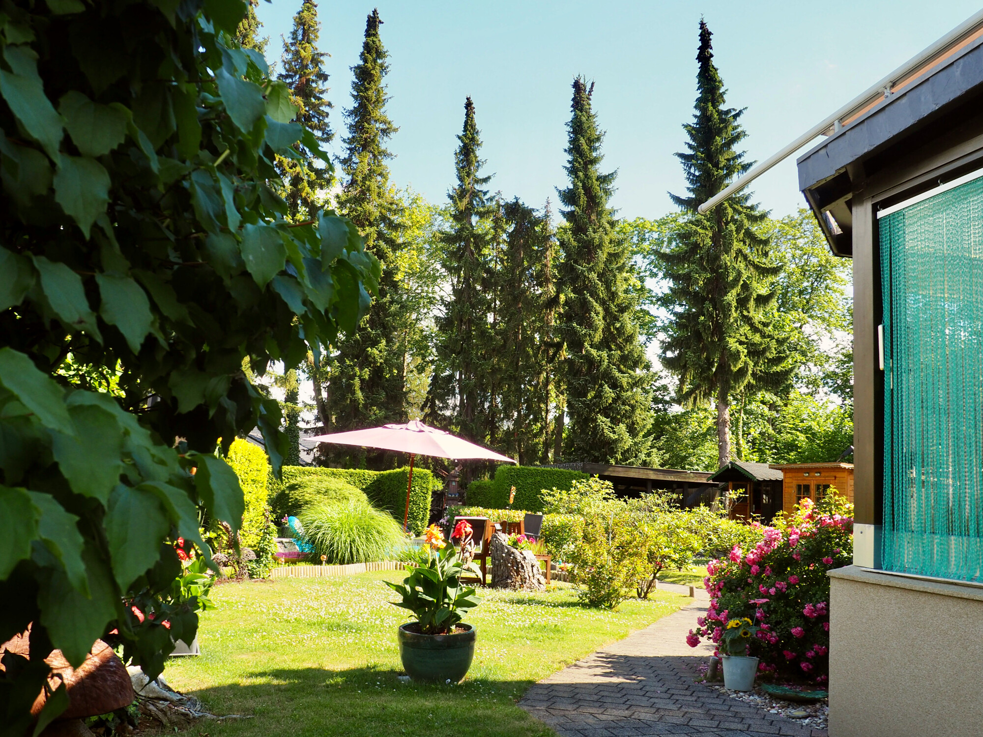 Gartenimpression 2