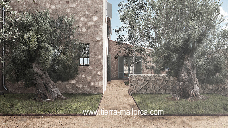 Detalle Patio Olivos 0