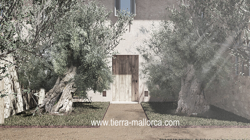 Detalle Patio Olivos 3