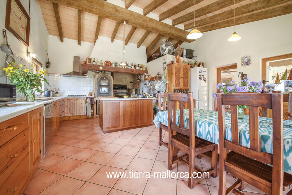 XF7_9568 web