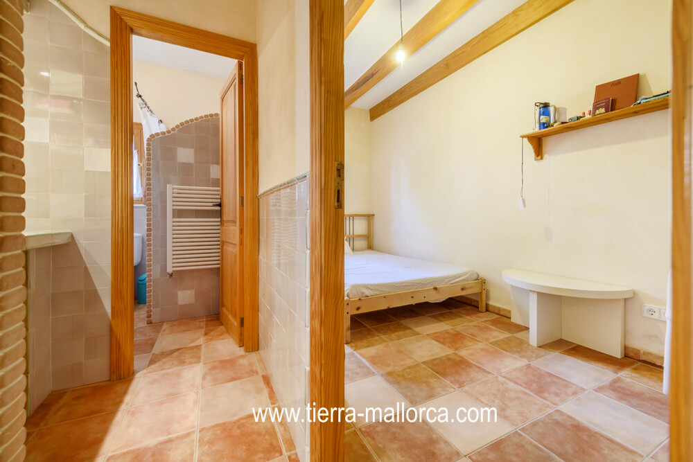 XF7_9629 web