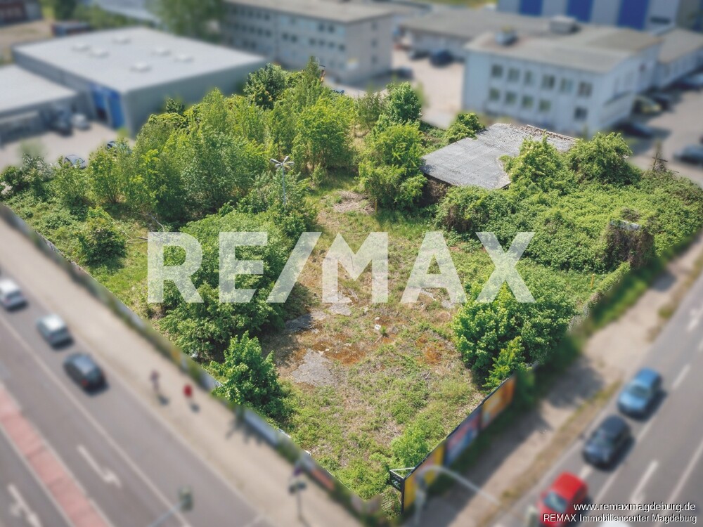 Real estate RE/MAX Immobiliencenter Magdeburg
