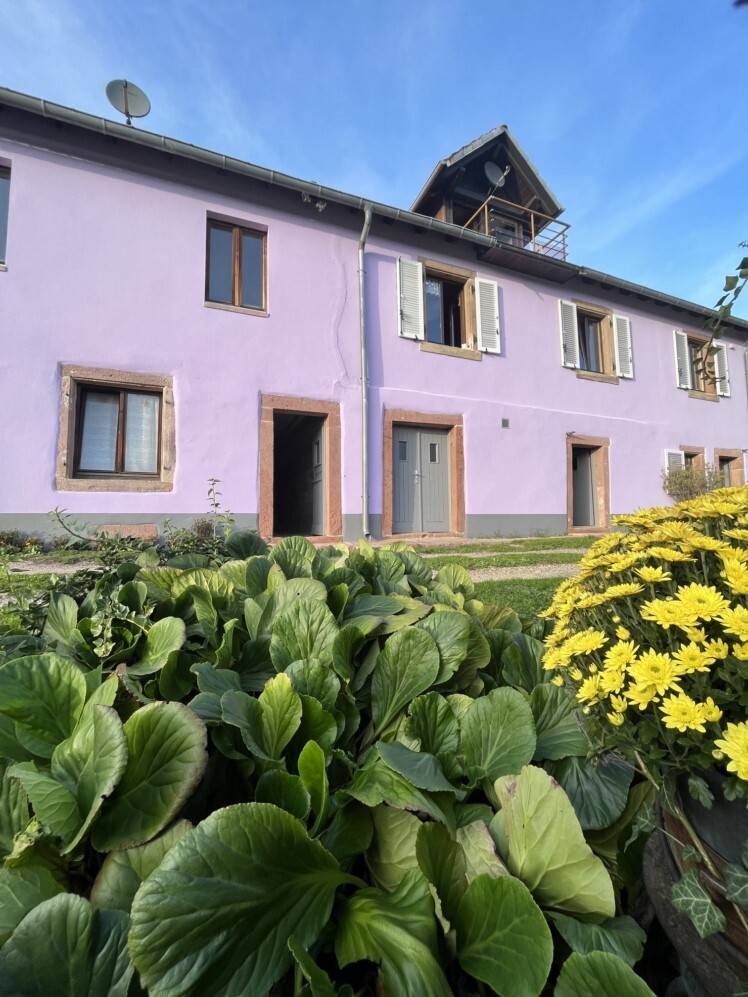 Außenansicht + Anbau
