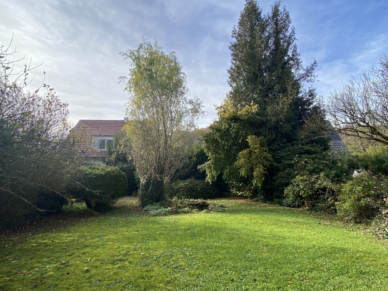 Blick in den Garten