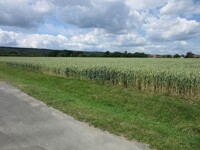 Feldrandlage 1