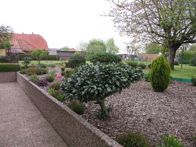 Garten 4