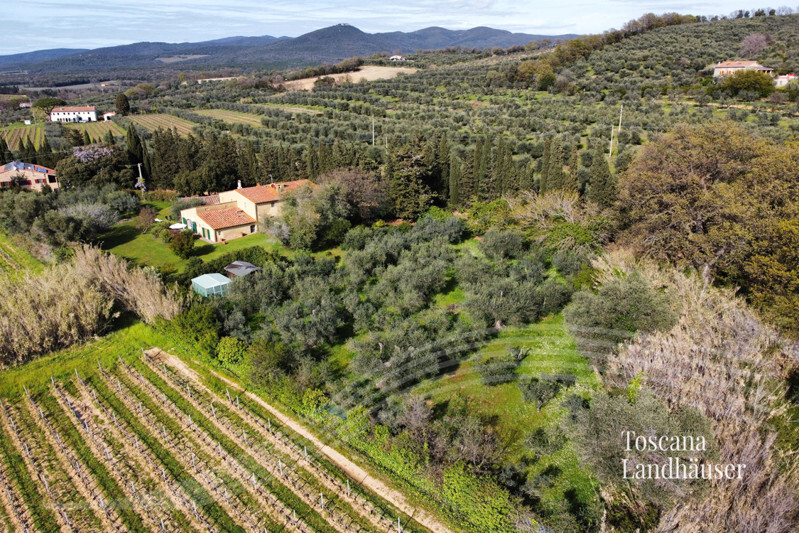 RIf 3057 Anwesen und Olivenbäume